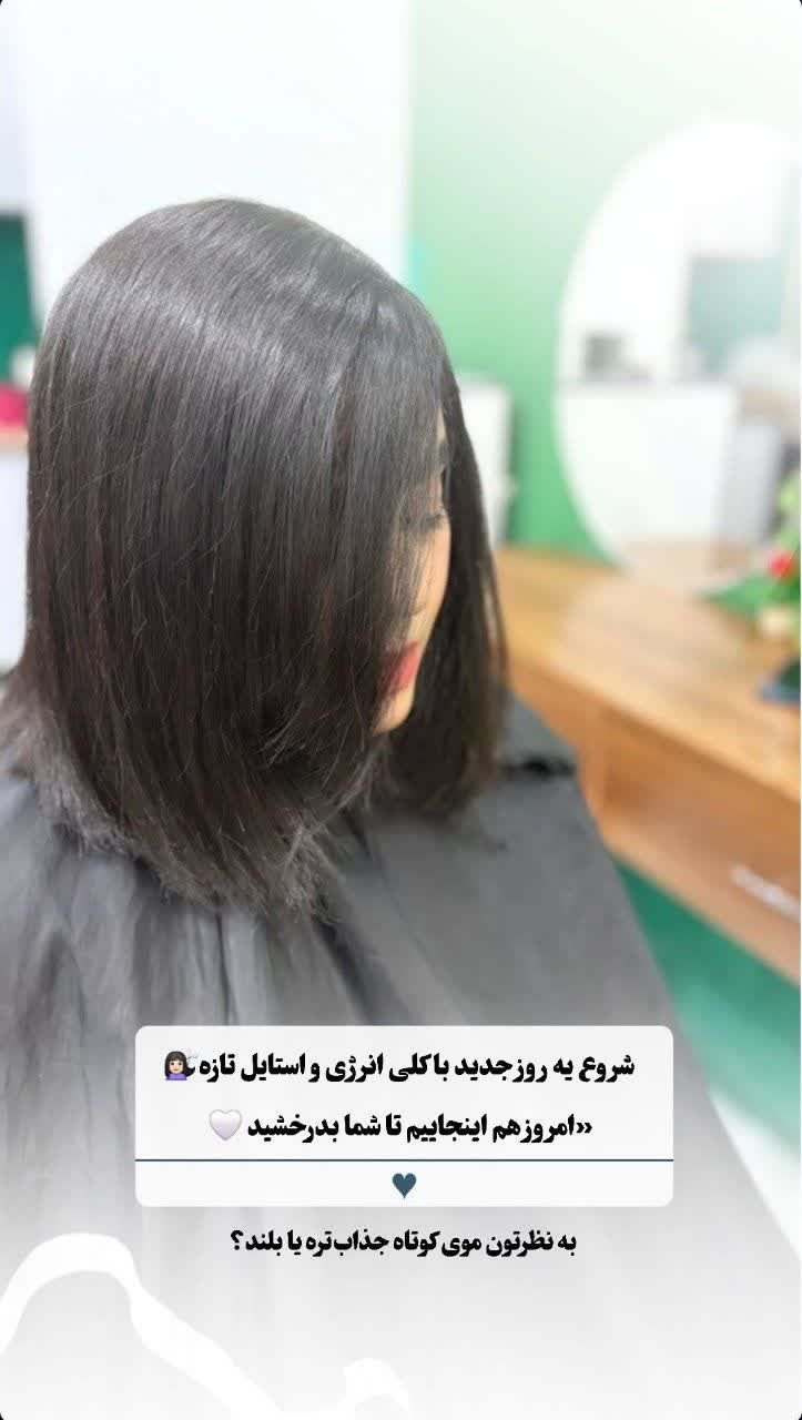 رنگ و لایت